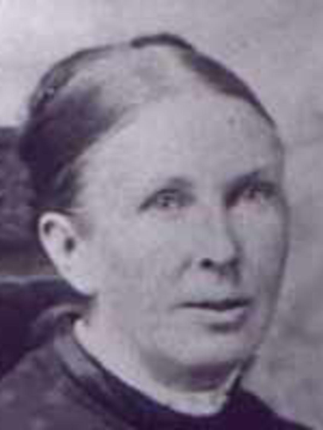 Harriet Wolkitt Lee (1835 - 1895) Profile